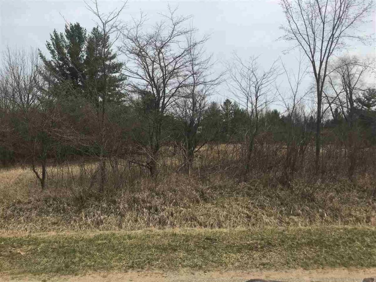 Picture of Residential Land For Sale in Gladwin, Michigan, United States