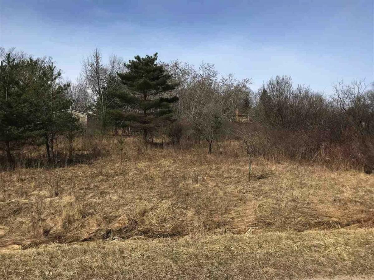 Picture of Residential Land For Sale in Gladwin, Michigan, United States