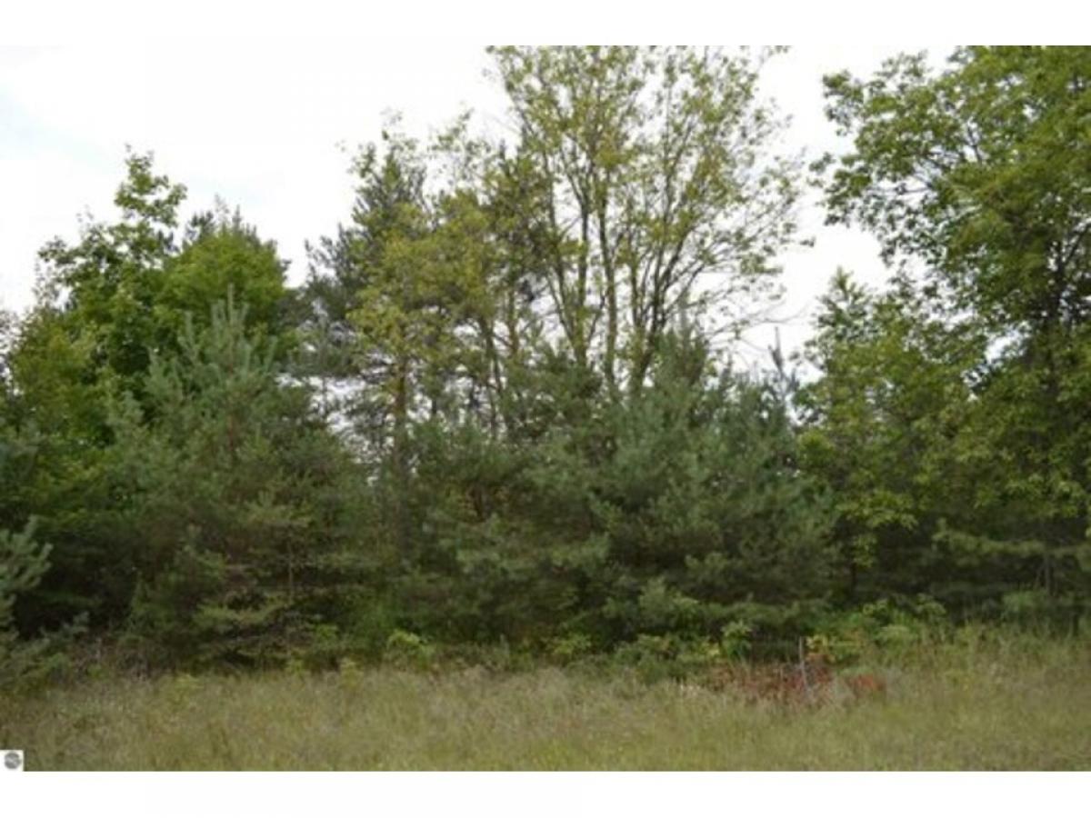 Picture of Residential Land For Sale in Mancelona, Michigan, United States