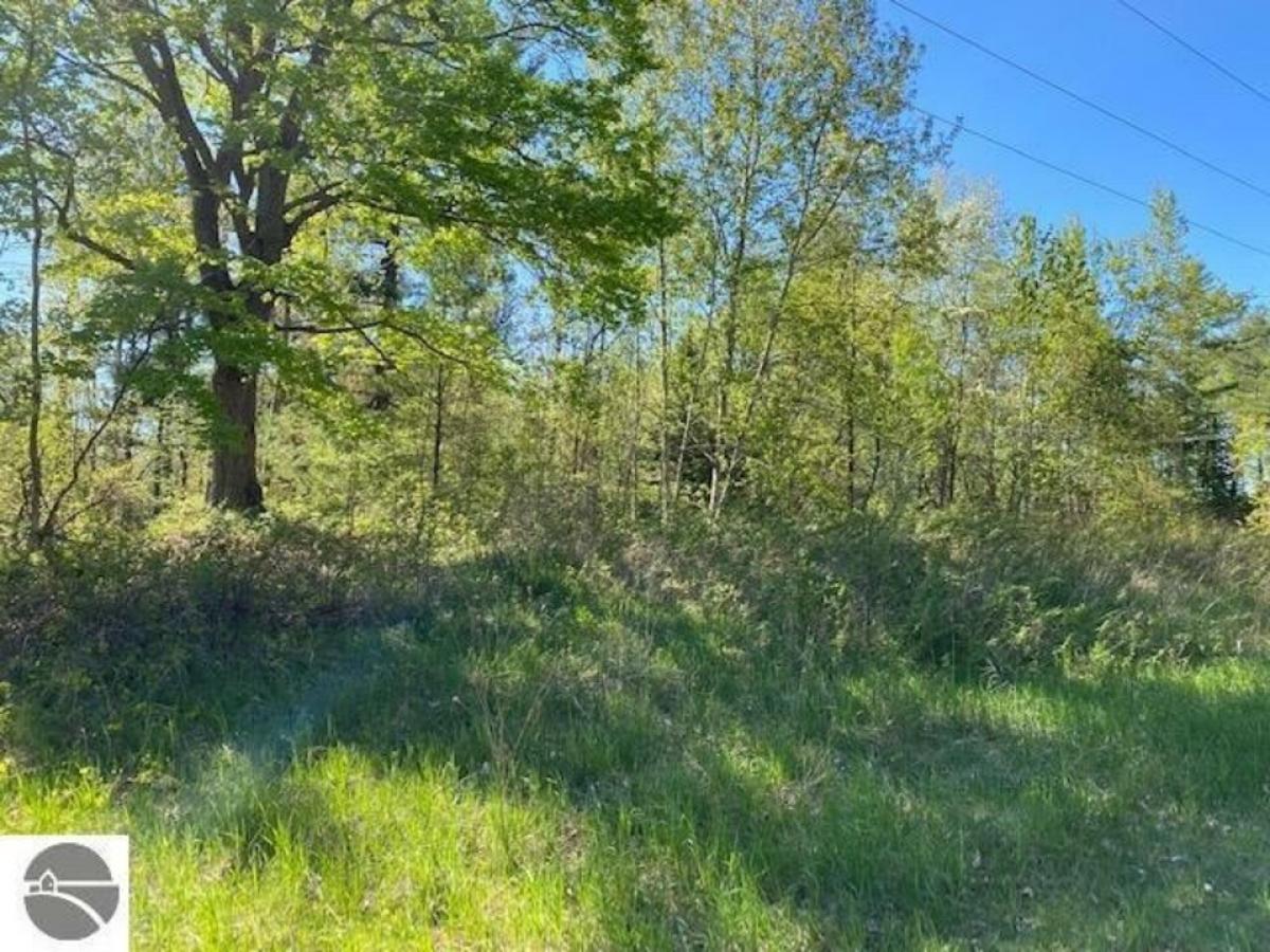 Picture of Residential Land For Sale in Elk Rapids, Michigan, United States