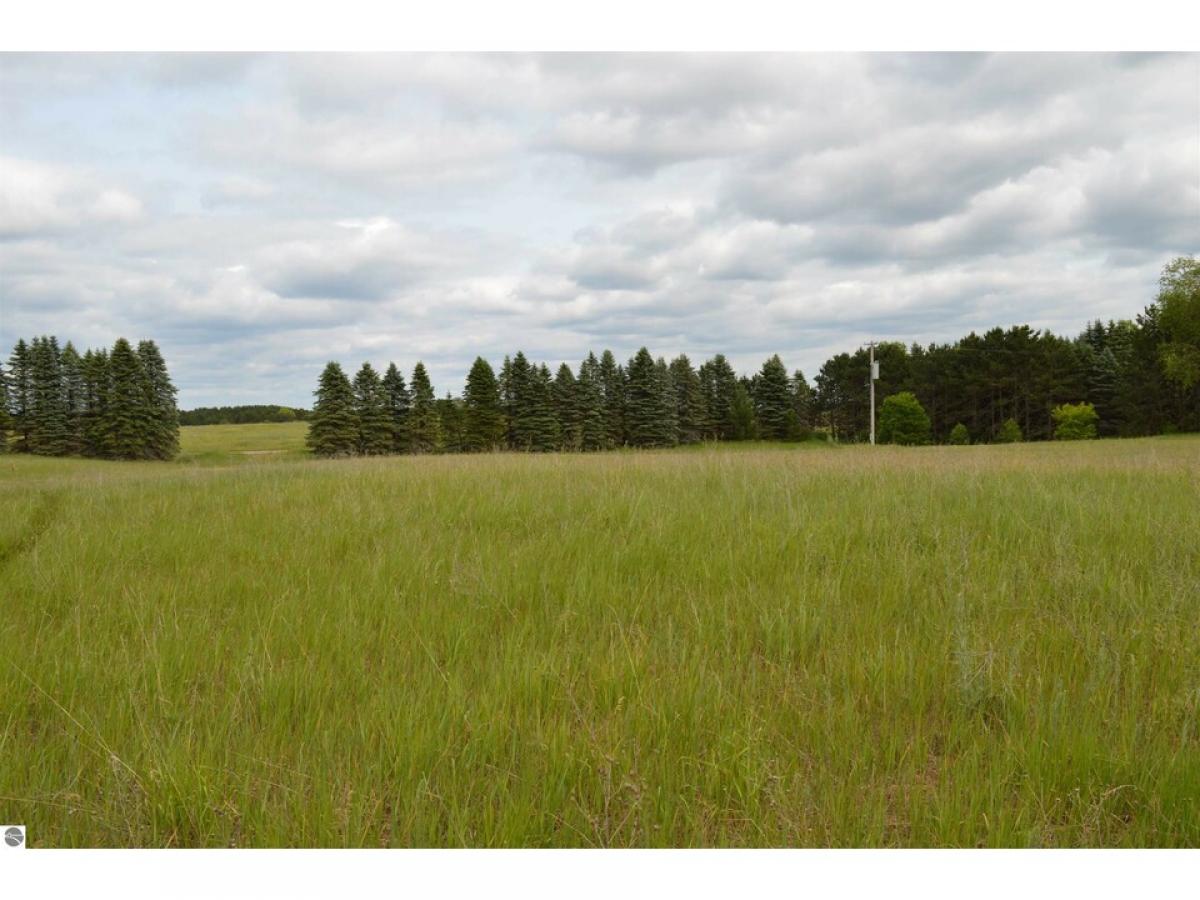 Picture of Residential Land For Sale in Kingsley, Michigan, United States