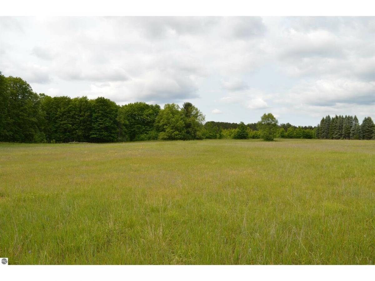 Picture of Residential Land For Sale in Kingsley, Michigan, United States