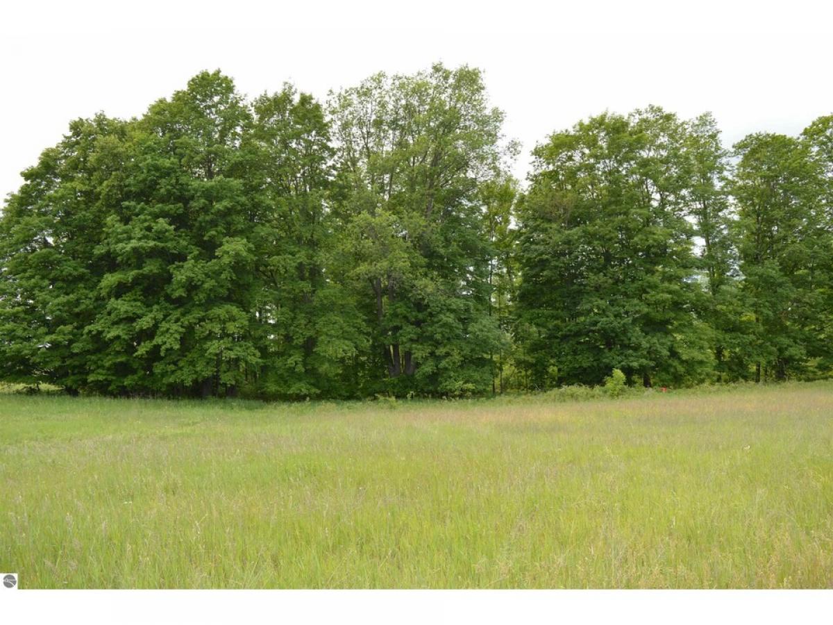 Picture of Residential Land For Sale in Kingsley, Michigan, United States