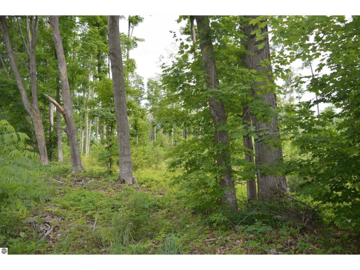 Picture of Residential Land For Sale in Kingsley, Michigan, United States