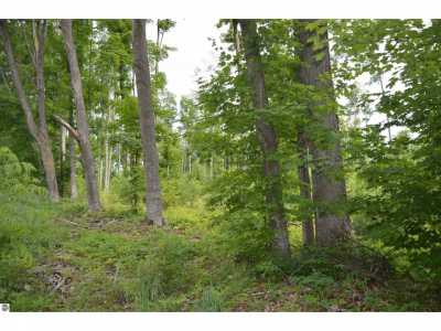 Residential Land For Sale in Kingsley, Michigan