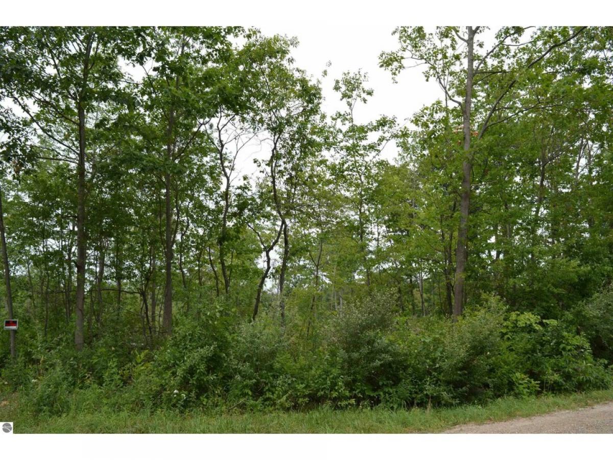 Picture of Residential Land For Sale in Traverse City, Michigan, United States