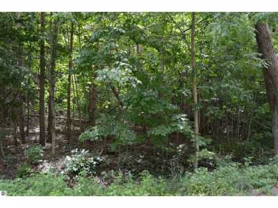 Residential Land For Sale in Kalkaska, Michigan