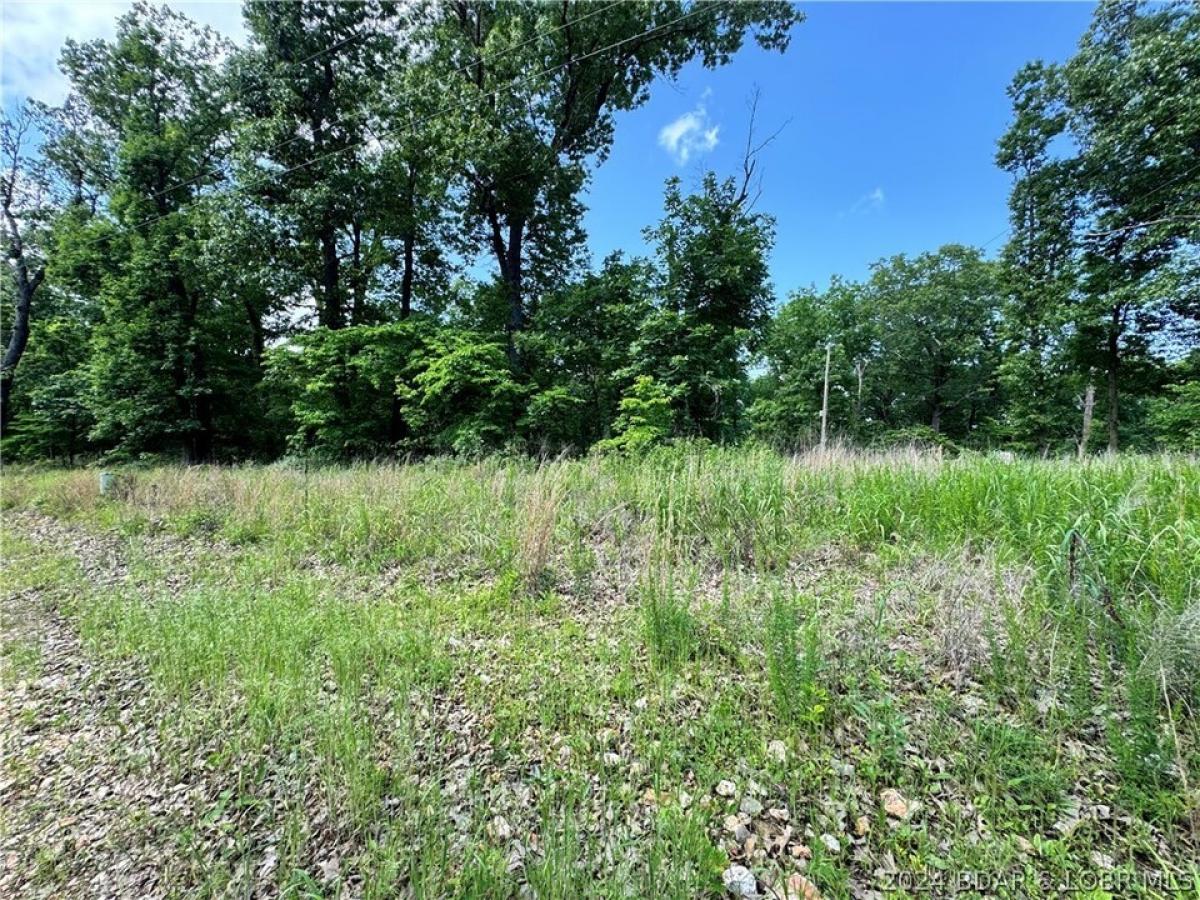 Picture of Residential Land For Sale in Stover, Missouri, United States