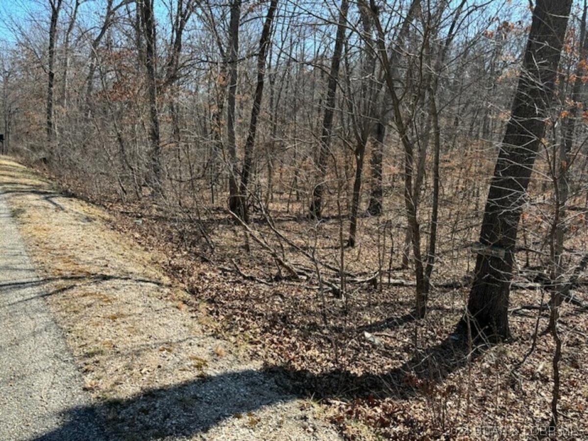 Picture of Residential Land For Sale in Porto Cima, Missouri, United States