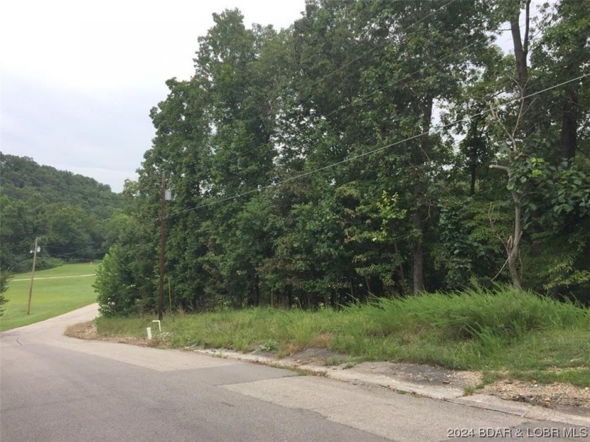 Picture of Residential Land For Sale in Camdenton, Missouri, United States