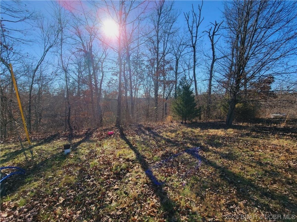 Picture of Residential Land For Sale in Eldon, Missouri, United States