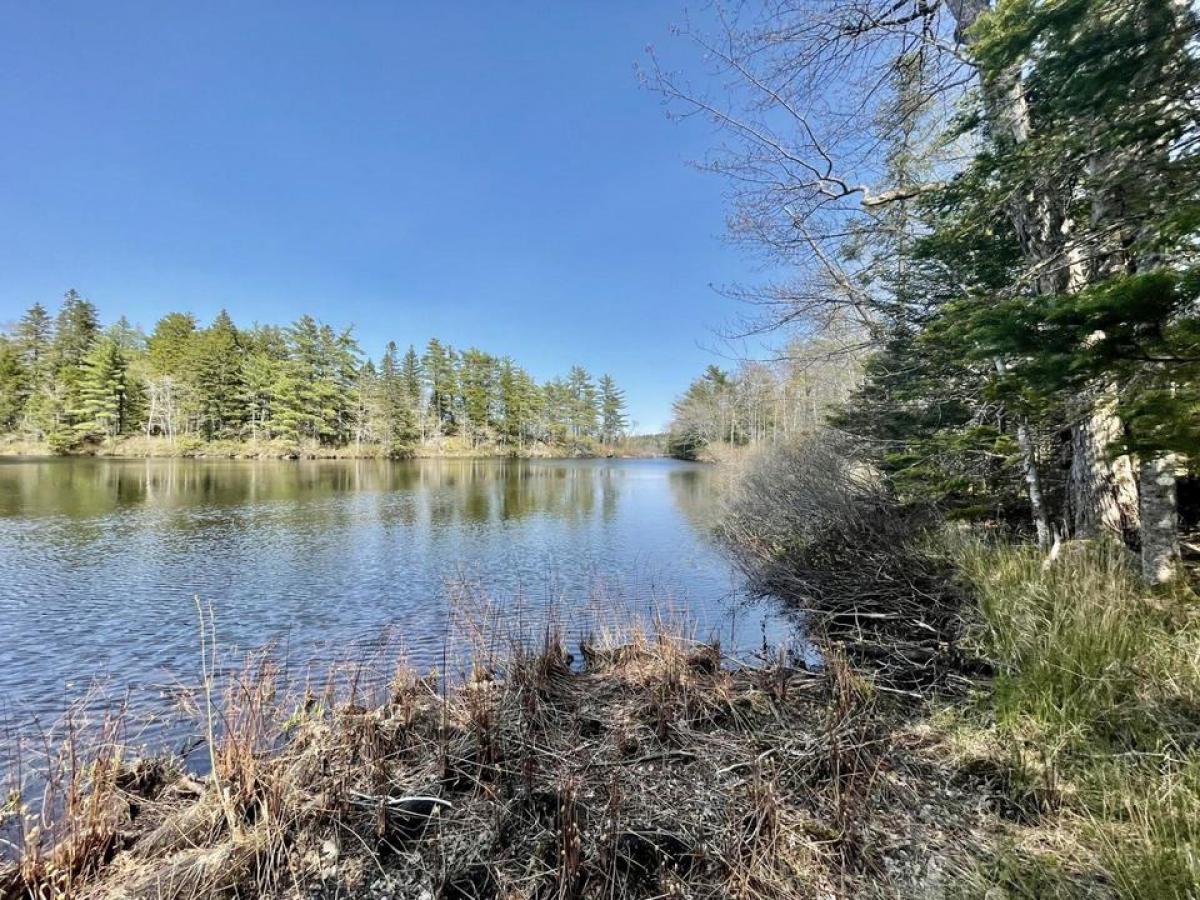 Picture of Residential Land For Sale in Lakelands, Nova Scotia, Canada