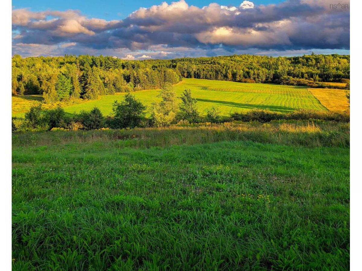 Picture of Residential Land For Sale in South Branch, Nova Scotia, Canada