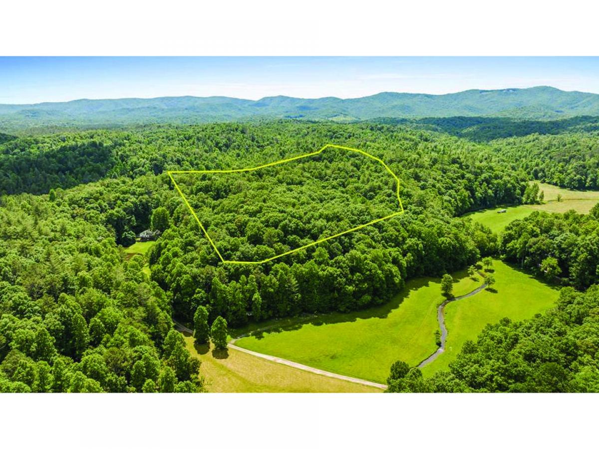 Picture of Residential Land For Sale in Ellijay, Georgia, United States