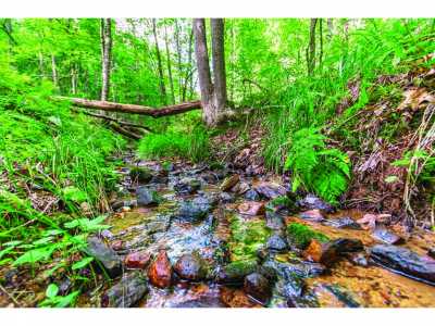 Residential Land For Sale in Morganton, Georgia