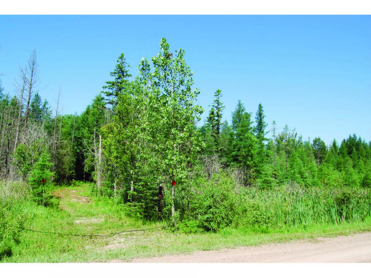 Picture of Residential Land For Sale in Minto Twp., Ontario, Canada