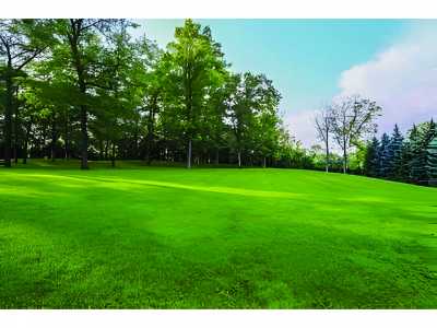 Residential Land For Sale in Mississauga, Canada