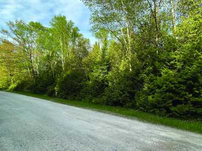 Residential Land For Sale in Oscoda, Michigan