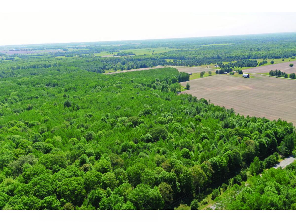 Picture of Residential Land For Sale in Harrisville, Michigan, United States