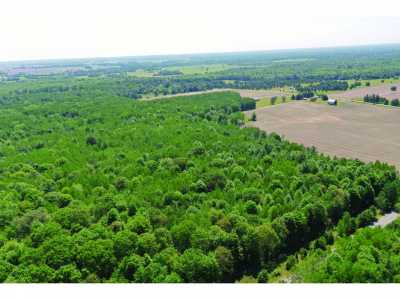 Residential Land For Sale in Harrisville, Michigan