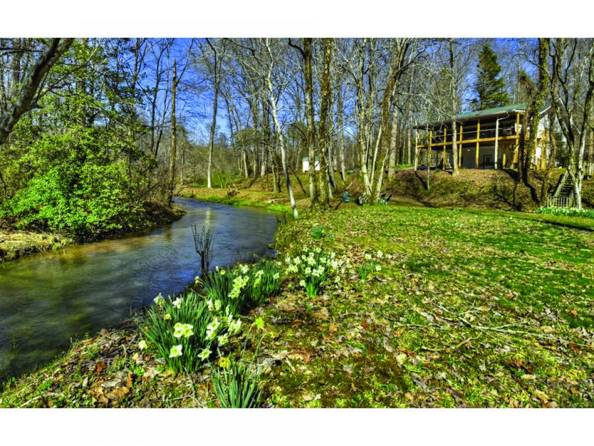 Picture of Home For Sale in Ellijay, Georgia, United States