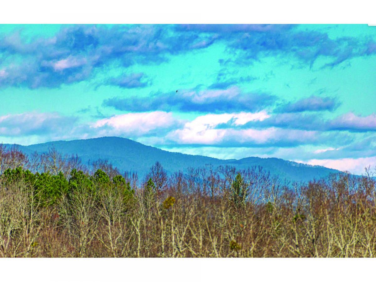 Picture of Residential Land For Sale in Ellijay, Georgia, United States