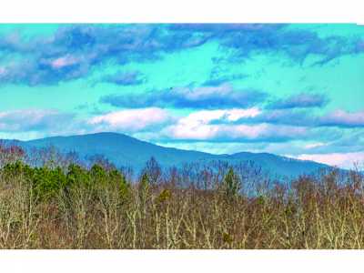 Residential Land For Sale in Ellijay, Georgia