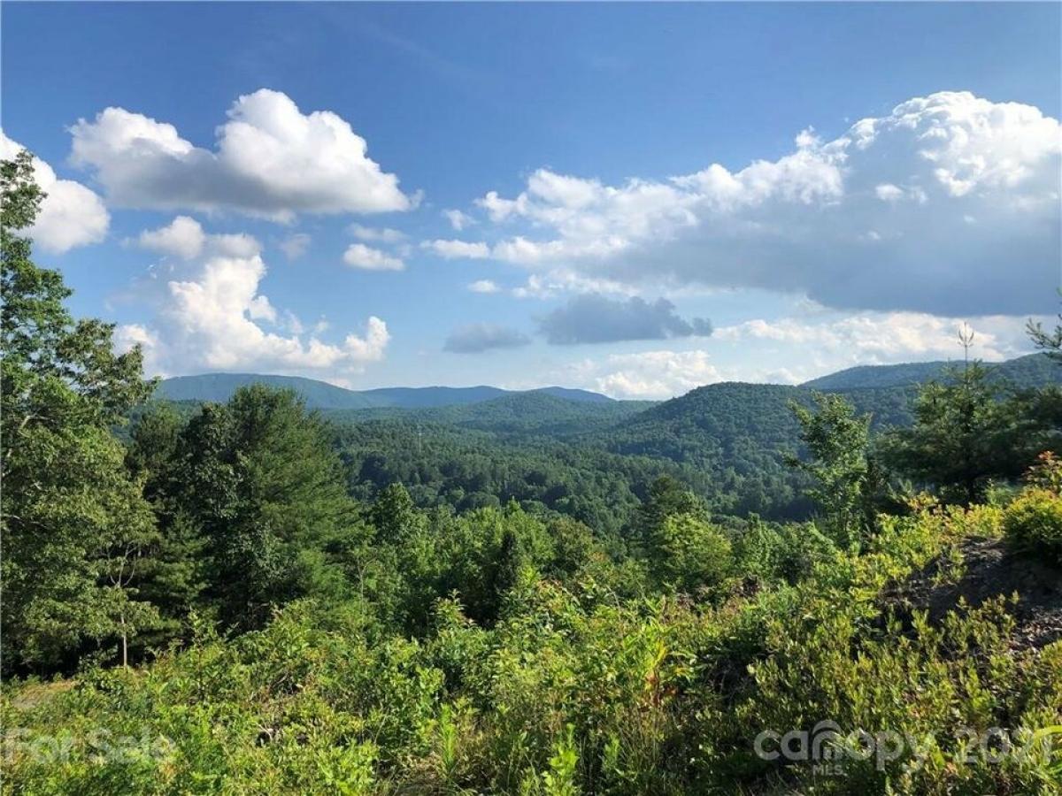 Picture of Residential Land For Sale in Hendersonville, North Carolina, United States