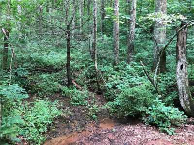 Residential Land For Sale in Flat Rock, North Carolina