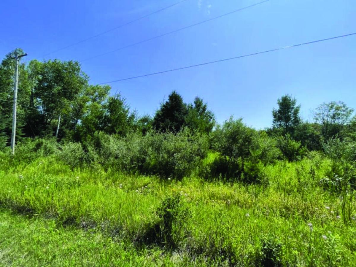 Picture of Residential Land For Sale in Hubbard Lake, Michigan, United States