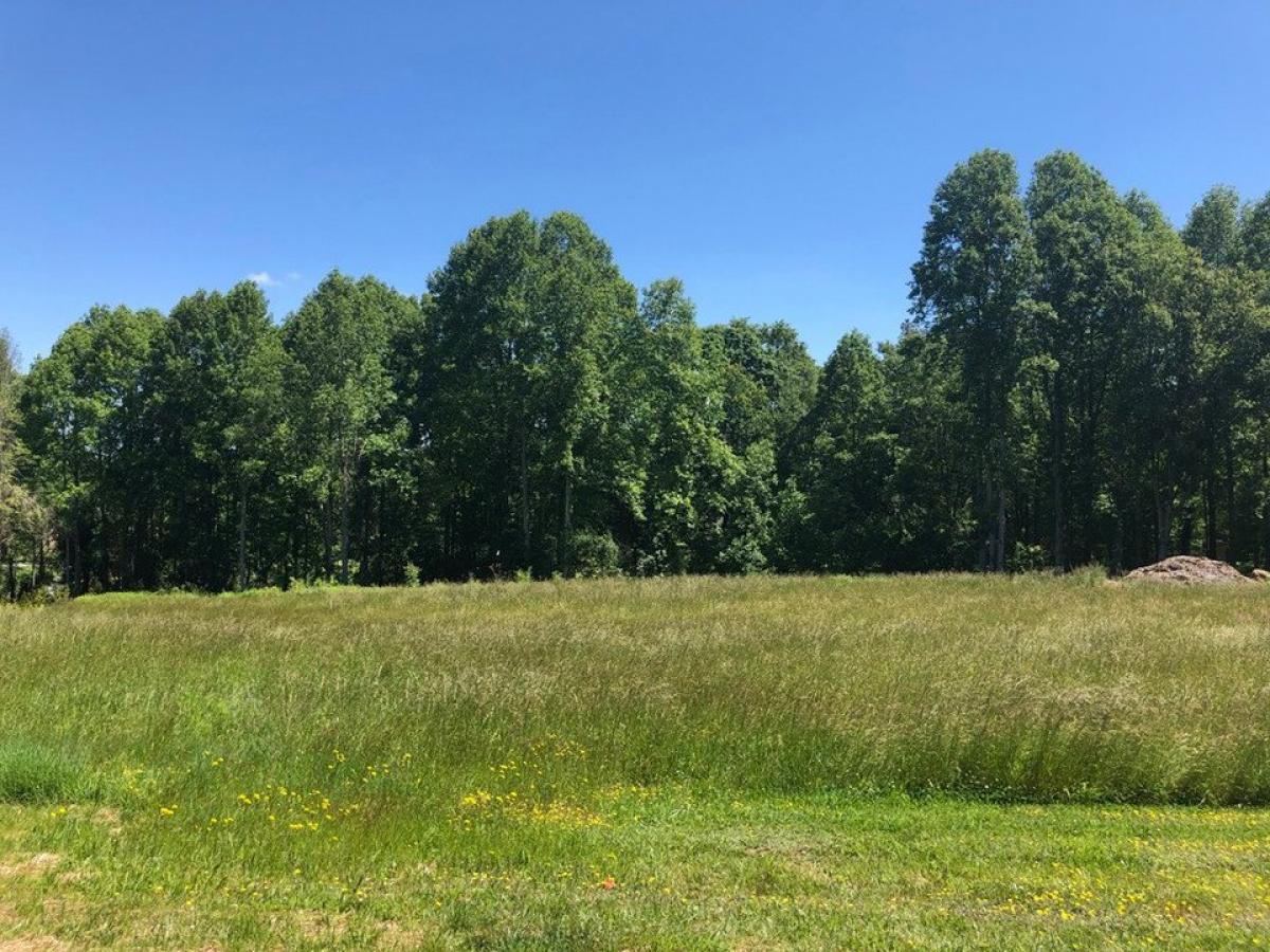 Picture of Residential Land For Sale in Hendersonville, North Carolina, United States