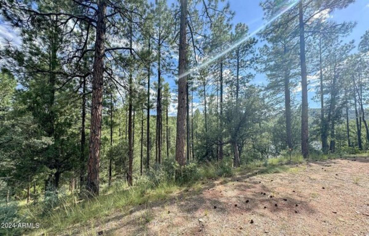 Picture of Residential Land For Sale in Payson, Arizona, United States