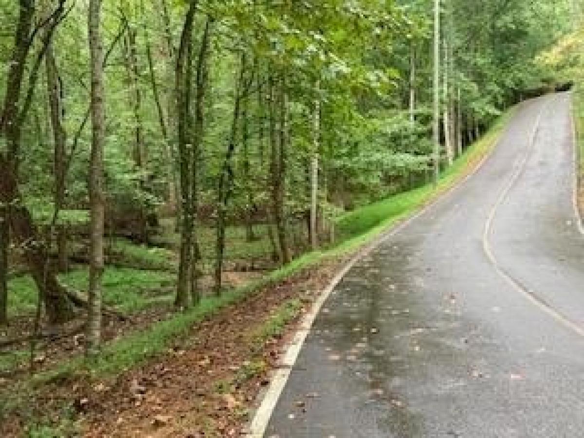 Picture of Residential Land For Sale in Ellijay, Georgia, United States