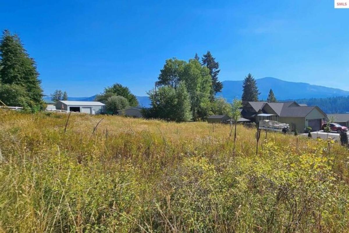 Picture of Residential Land For Sale in Bayview, Idaho, United States