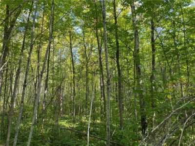 Residential Land For Sale in Cook, Minnesota