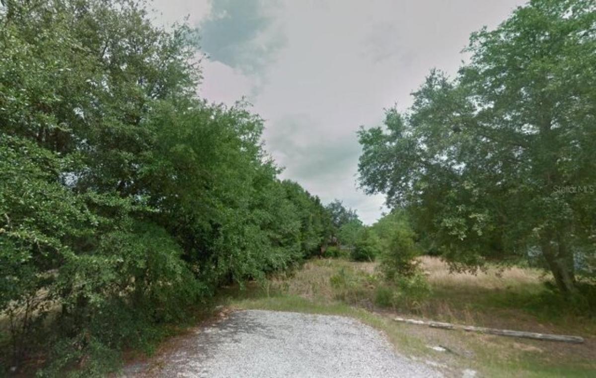 Picture of Residential Land For Sale in Intercession City, Florida, United States