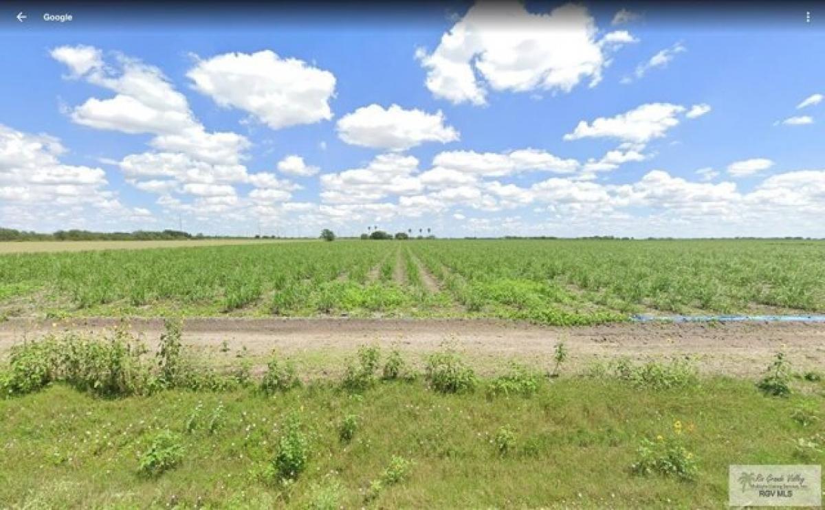 Picture of Residential Land For Sale in Santa Rosa, Texas, United States