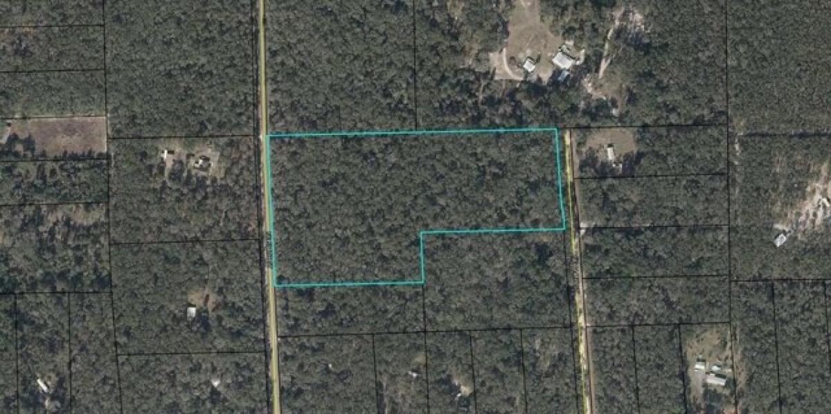 Picture of Residential Land For Sale in Old Town, Florida, United States