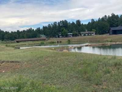 Residential Land For Sale in Show Low, Arizona