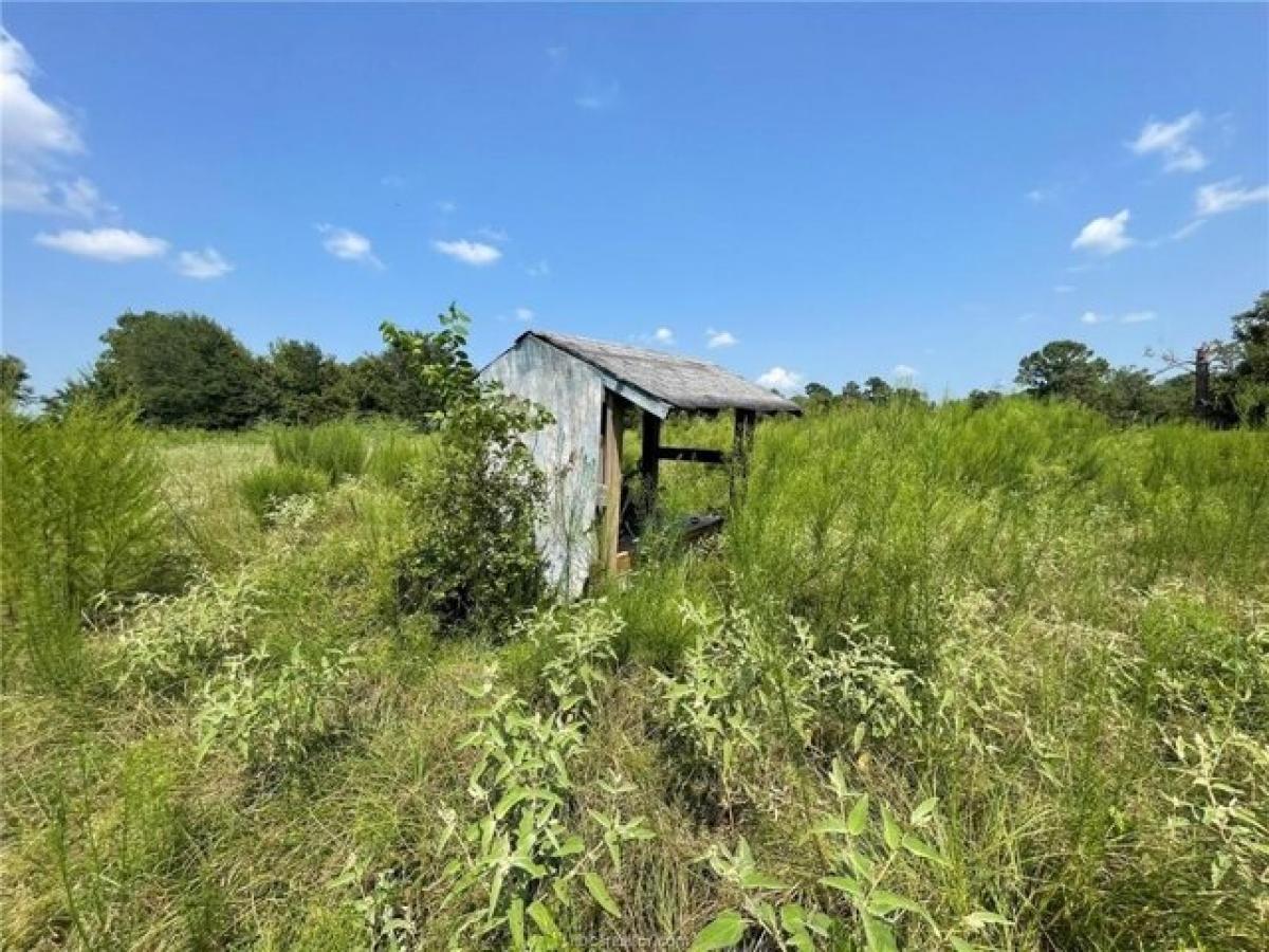 Picture of Residential Land For Sale in Bedias, Texas, United States