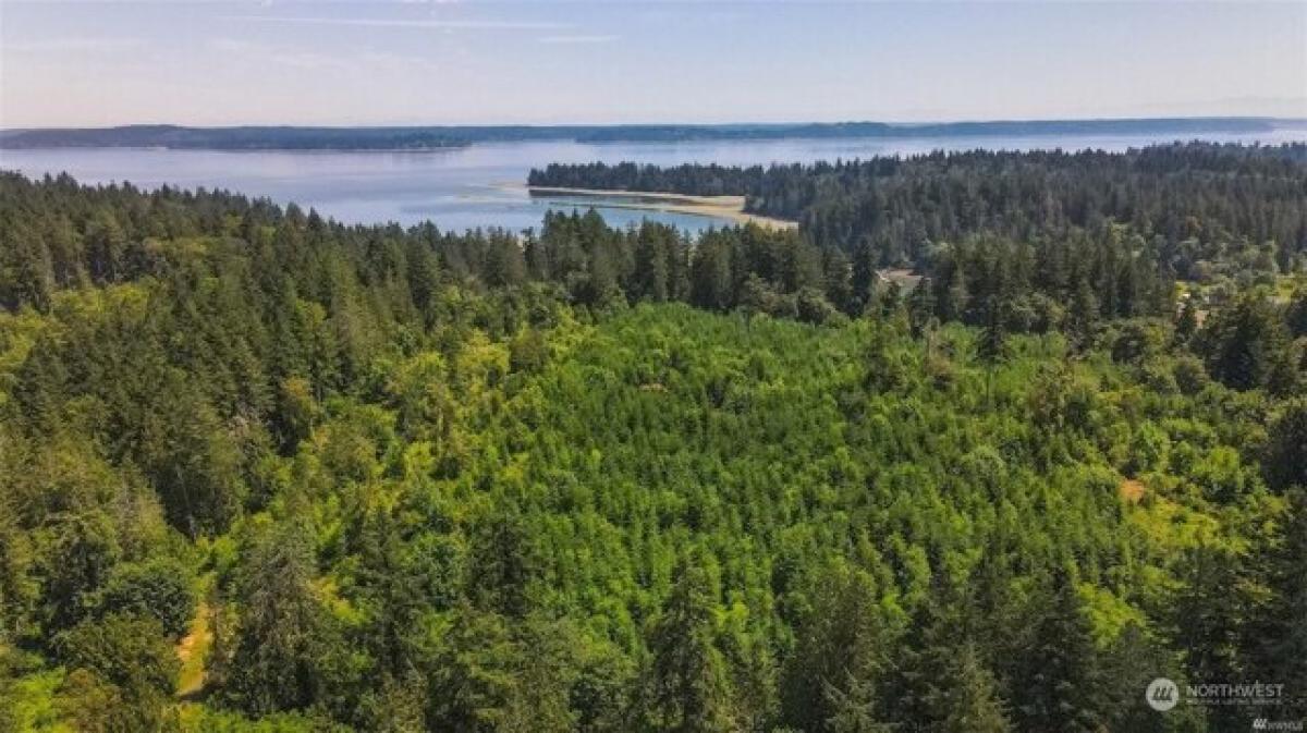 Picture of Residential Land For Sale in Lakebay, Washington, United States