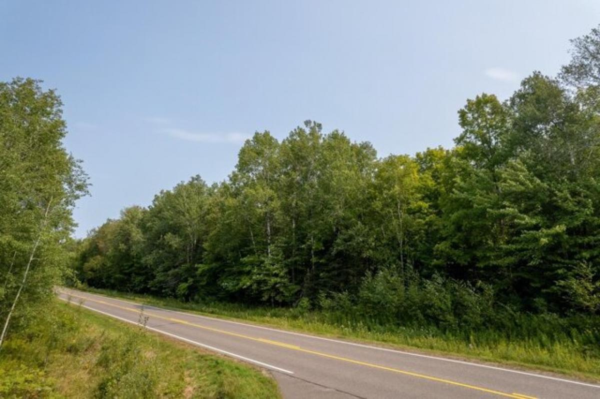 Picture of Residential Land For Sale in Winchester, Wisconsin, United States