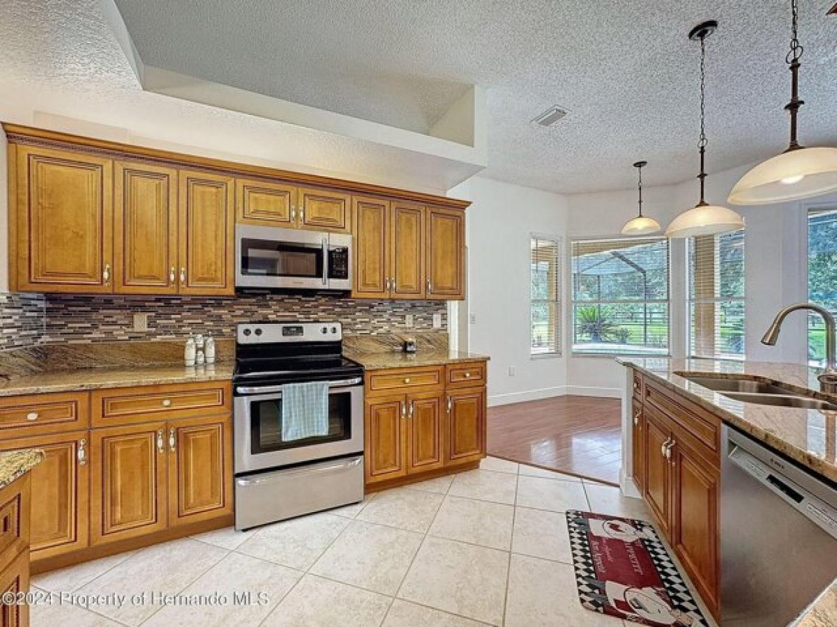 Picture of Home For Sale in Spring Hill, Florida, United States