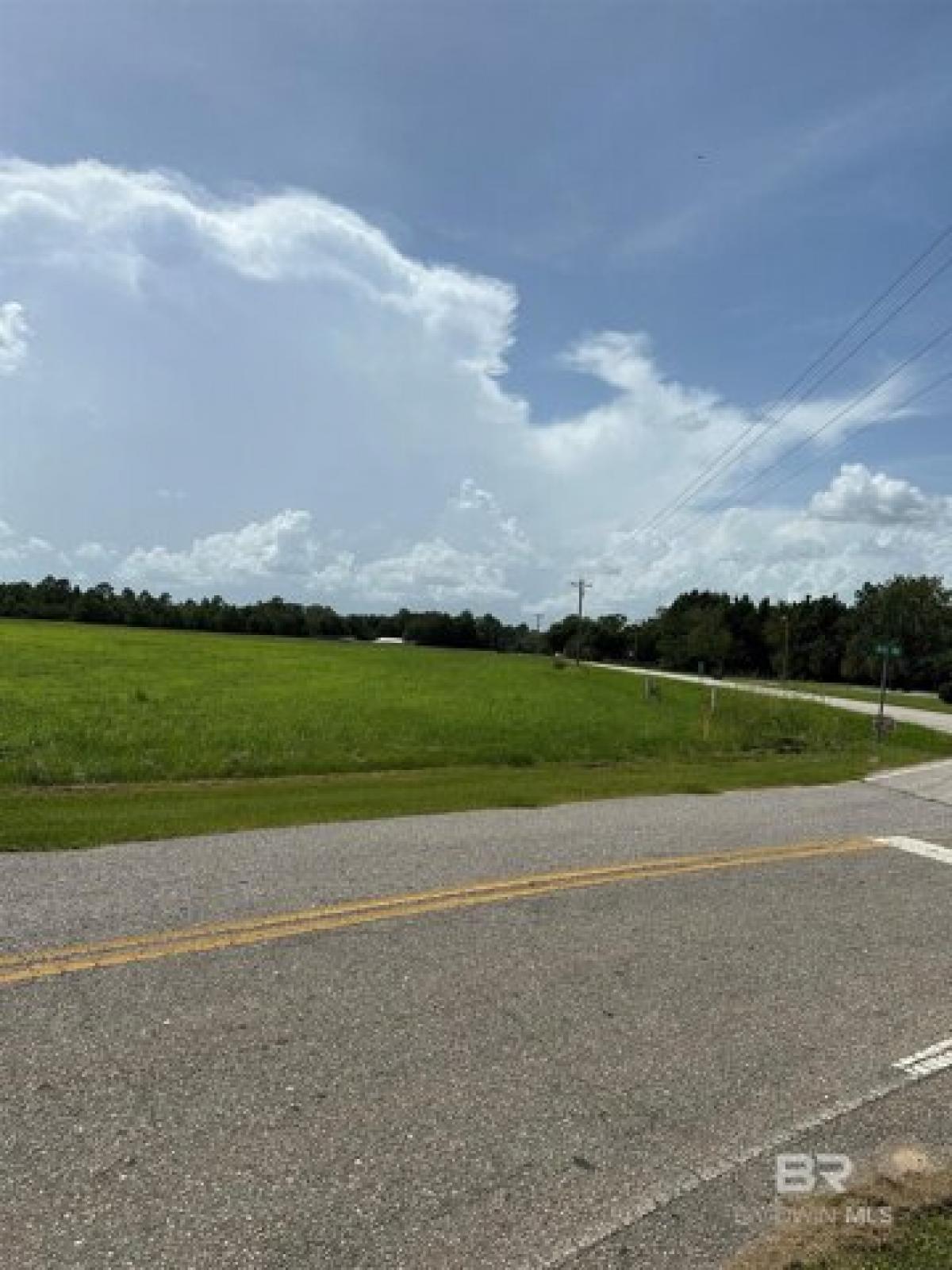 Picture of Residential Land For Sale in Robertsdale, Alabama, United States