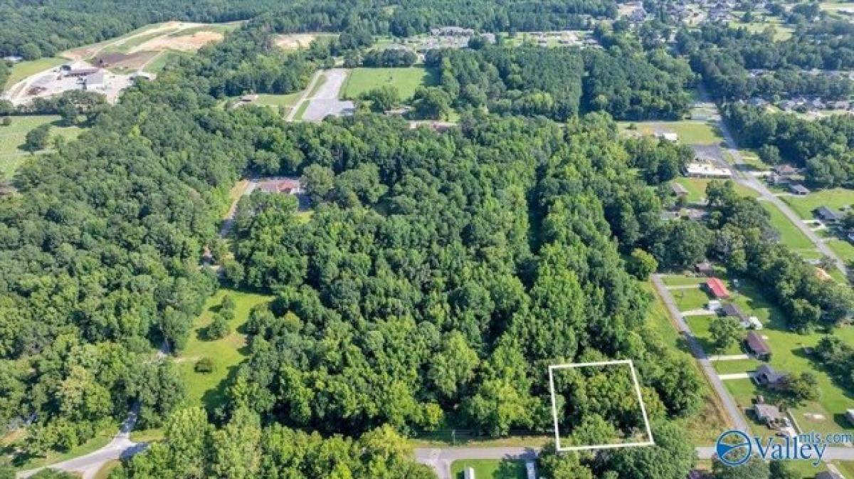 Picture of Residential Land For Sale in Hartselle, Alabama, United States