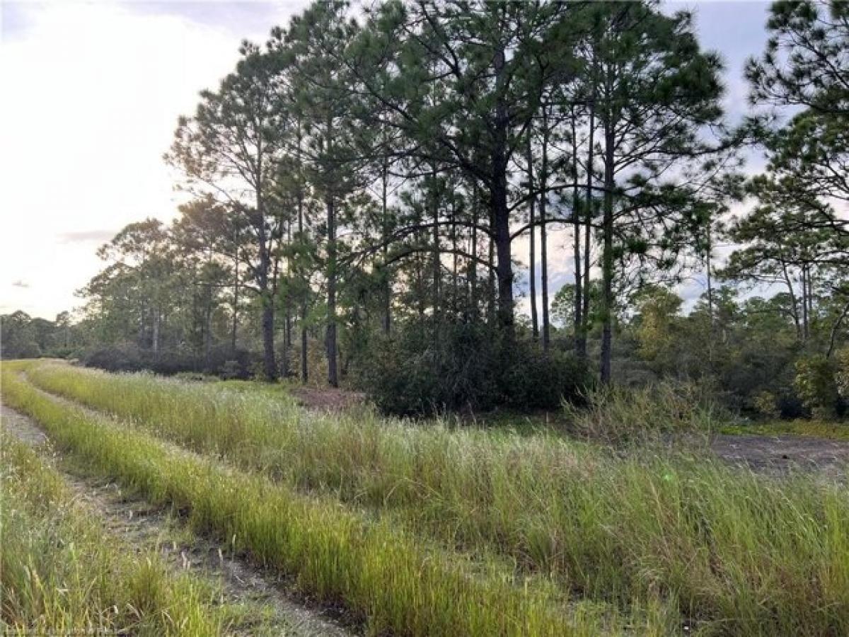 Picture of Residential Land For Sale in Lake Placid, Florida, United States