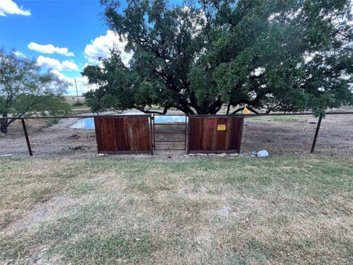 Picture of Home For Sale in Stephenville, Texas, United States