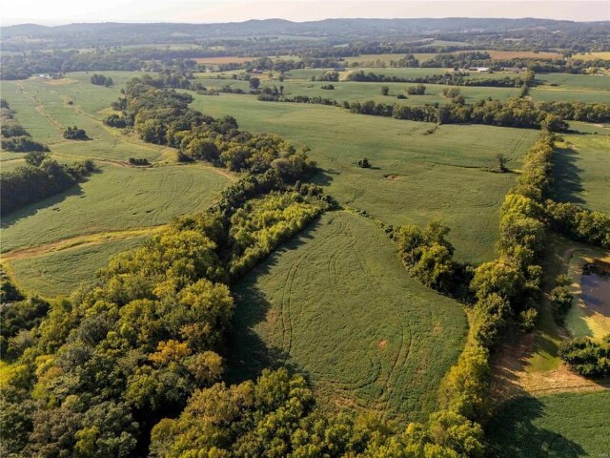 Picture of Residential Land For Sale in Elsberry, Missouri, United States