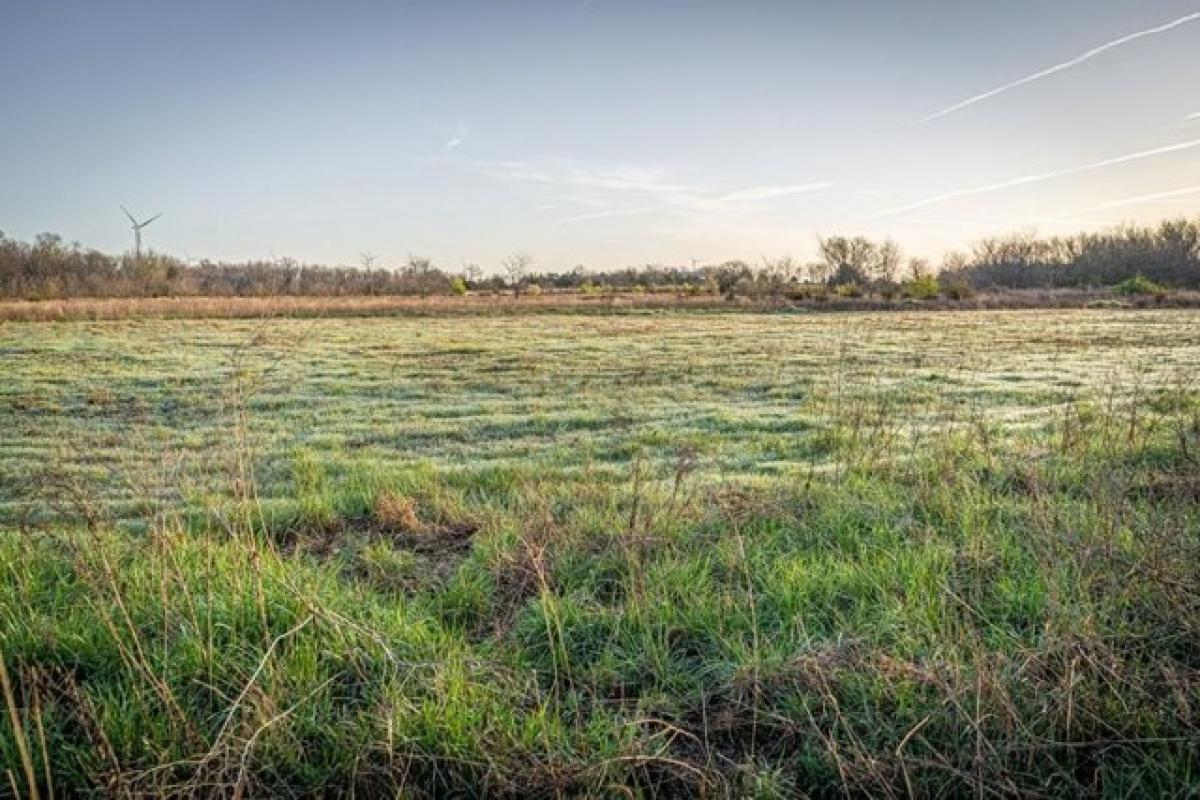 Picture of Residential Land For Sale in Walnut, Kansas, United States