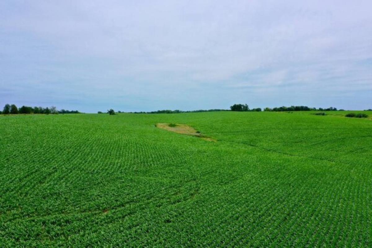 Picture of Residential Land For Sale in Decorah, Iowa, United States